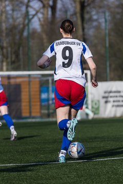 Bild 168 - F Hamburger SV 3 - Blau-Weiss 96 : Ergebnis: 5:1